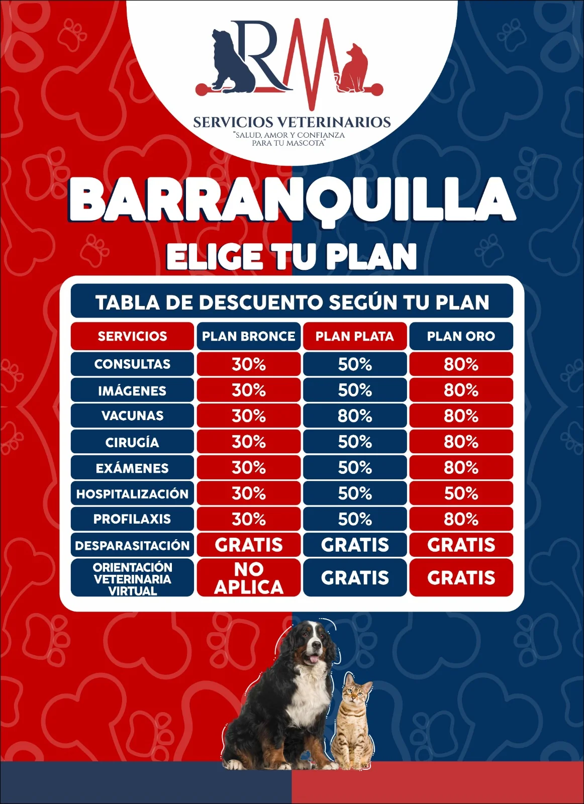 Detalles del Plan Barranquilla